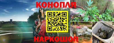 прущий лед Кингисепп