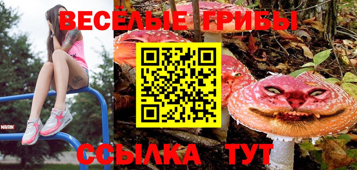 Псилоцибиновые грибы Magic Shrooms Шатура